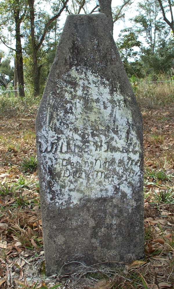 Willie M. Terrell Gravestone Photo