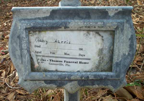 Baby Harris Gravestone Photo