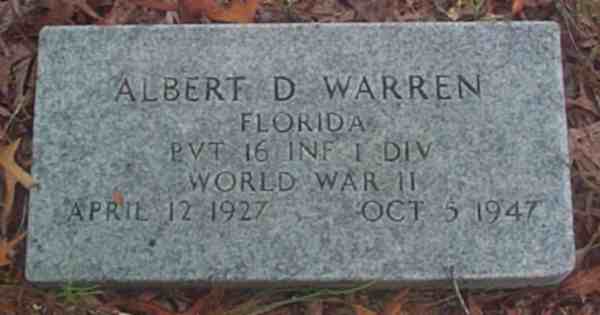 Albert D. Warren Gravestone Photo