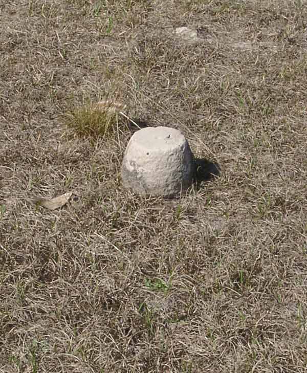  Unknown Gravestone Photo