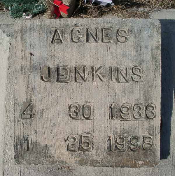 Agnes Jenkins Gravestone Photo