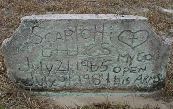 Scarlotti Littles Gravestone Photo